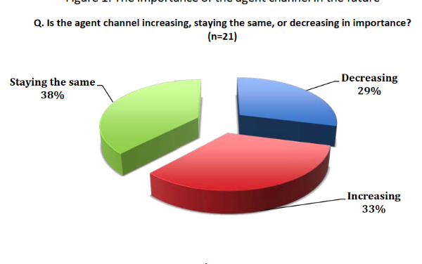 Payments Industry Consulting and Research by Double Diamond Group